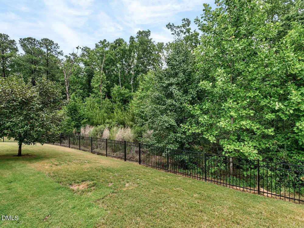 3441 Jordan Shires Drive New Hill, NC 27562
