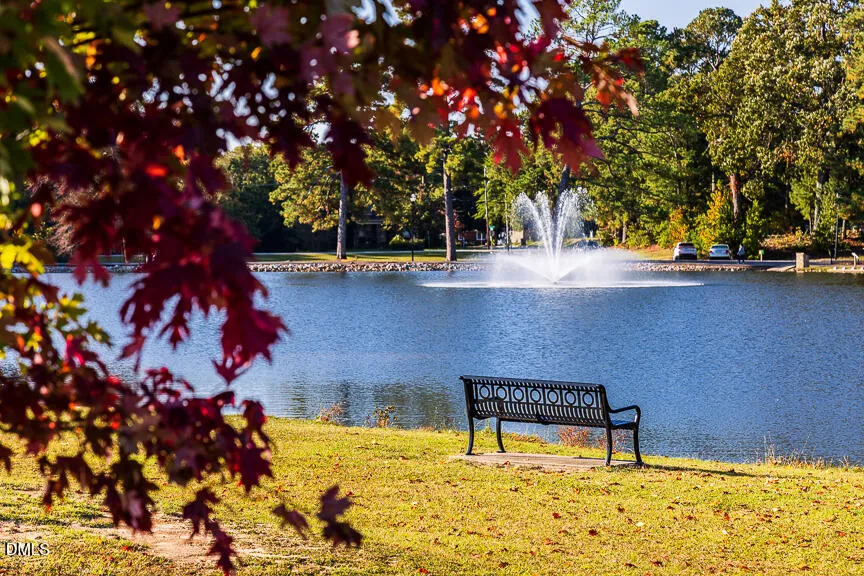 290 Blue Butterfly Drive Angier, NC 27501
