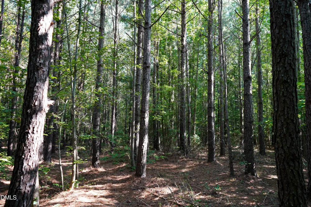 38 Acres Timberlake Road Louisburg, NC 27549