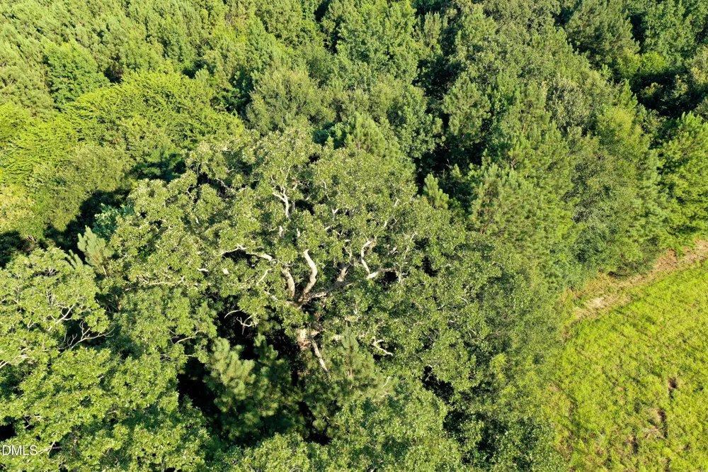 60 Acres Timberlake Road Louisburg, NC 27549