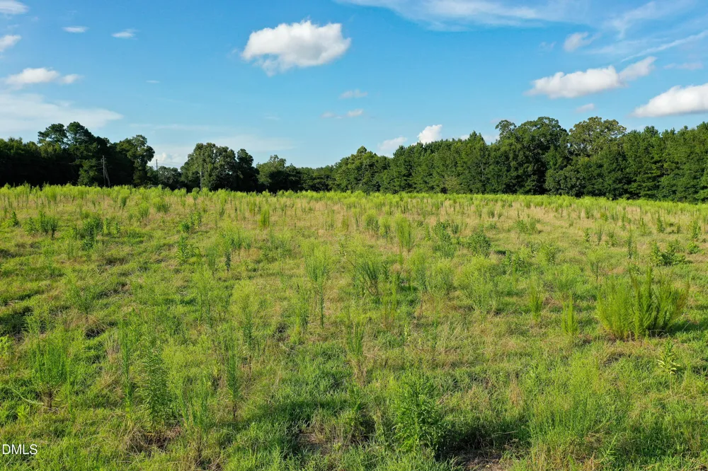 60 Acres Timberlake Road Louisburg, NC 27549