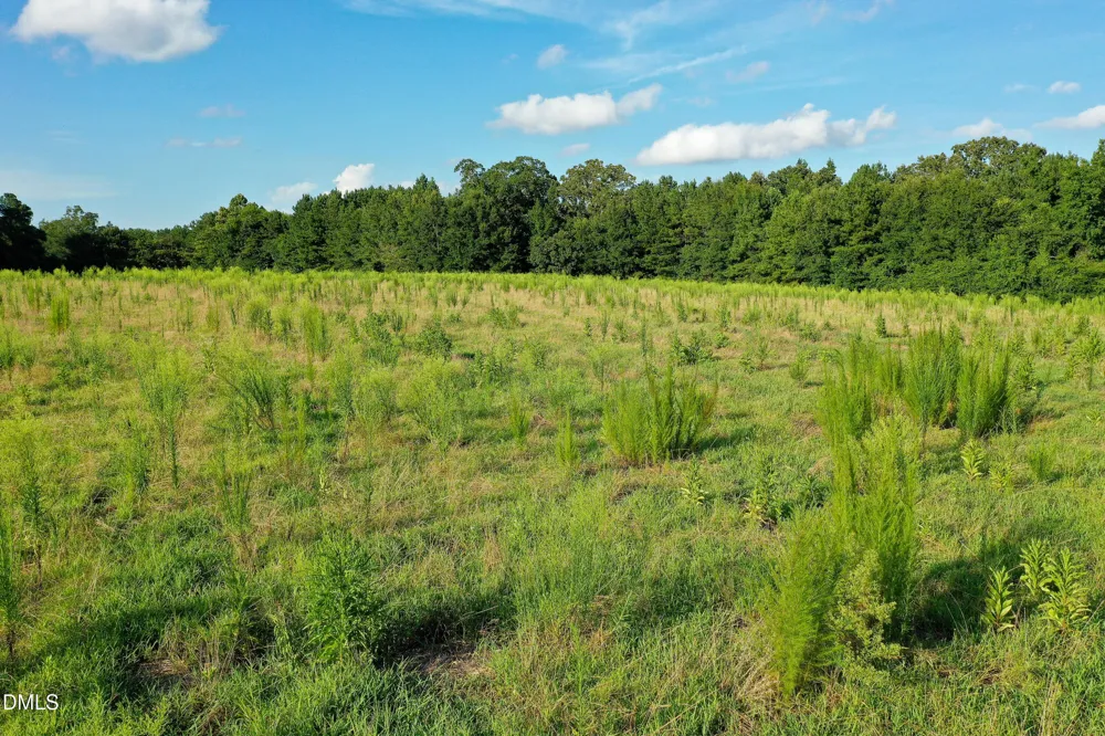 60 Acres Timberlake Road Louisburg, NC 27549