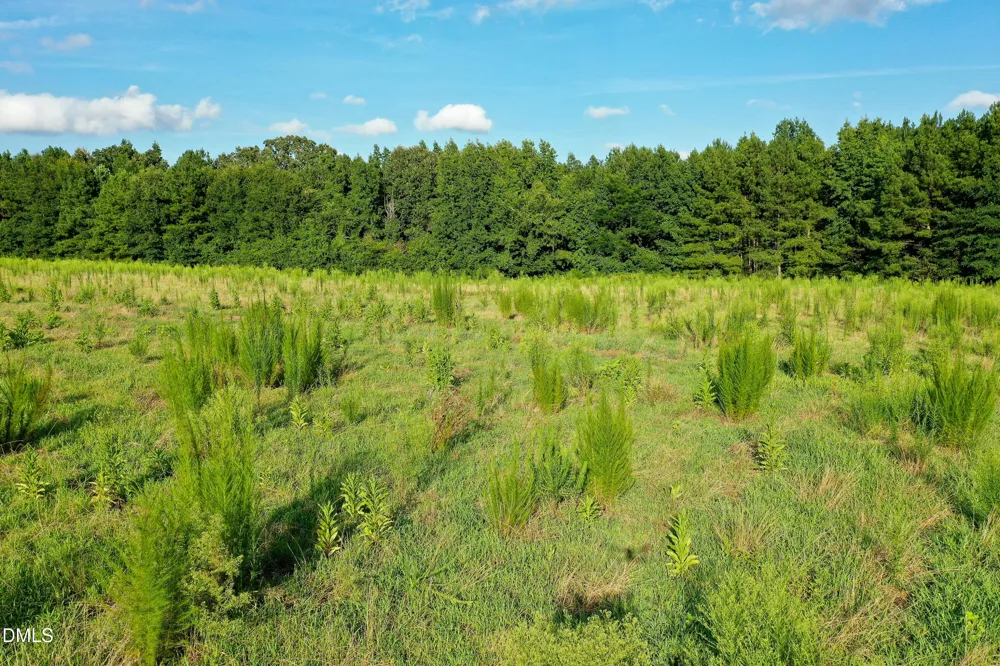 60 Acres Timberlake Road Louisburg, NC 27549