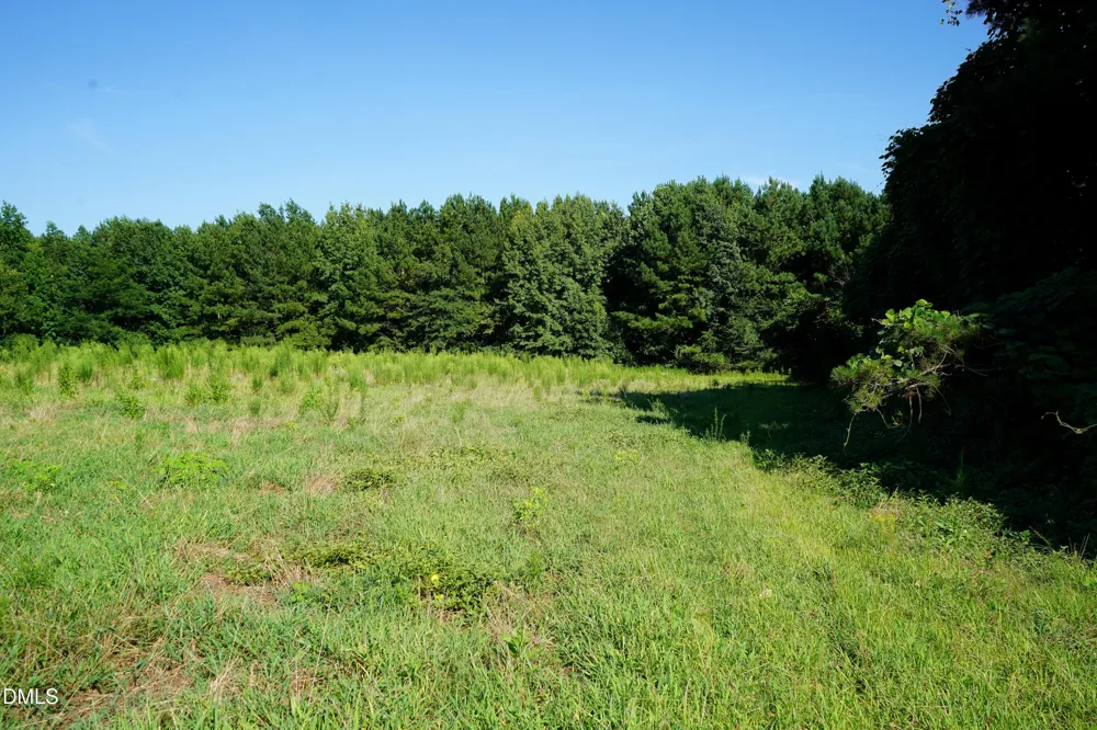 60 Acres Timberlake Road Louisburg, NC 27549