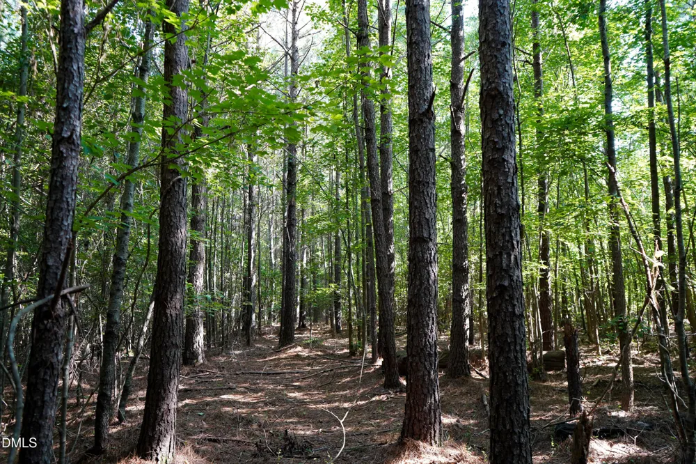 60 Acres Timberlake Road Louisburg, NC 27549