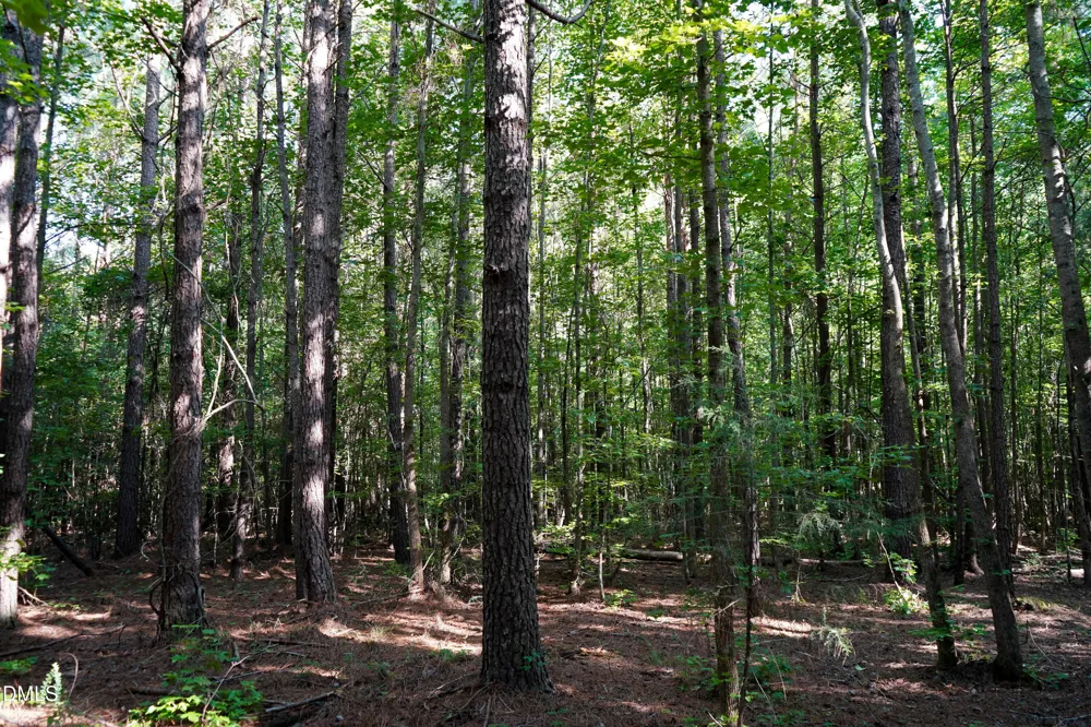 60 Acres Timberlake Road Louisburg, NC 27549