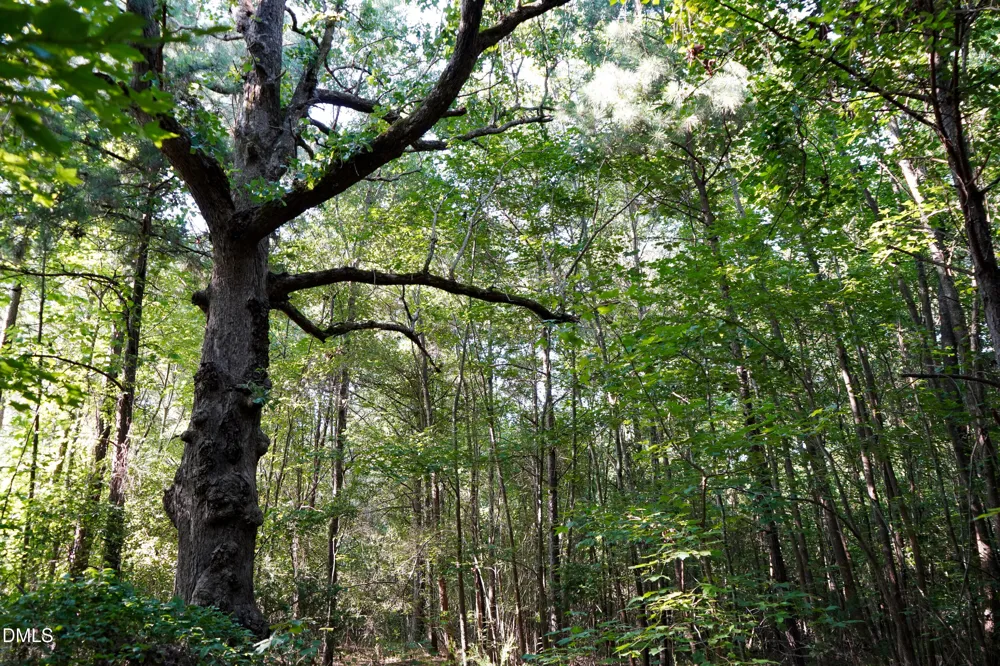 60 Acres Timberlake Road Louisburg, NC 27549
