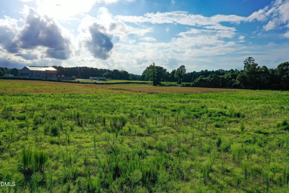 60 Acres Timberlake Road Louisburg, NC 27549
