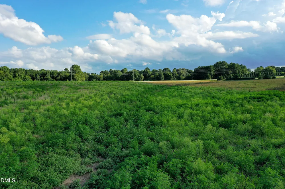 60 Acres Timberlake Road Louisburg, NC 27549