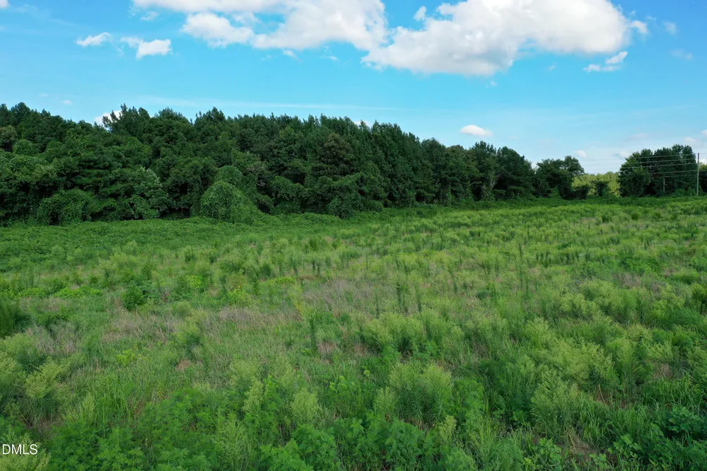 60 Acres Timberlake Road Louisburg, NC 27549