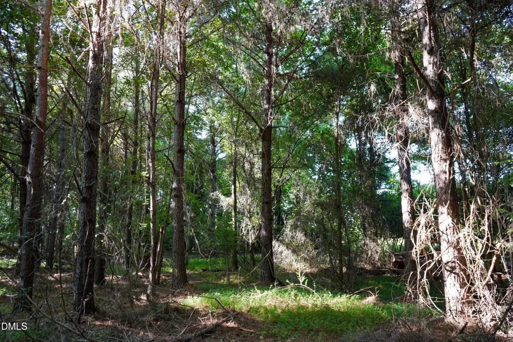 60 Acres Timberlake Road Louisburg, NC 27549