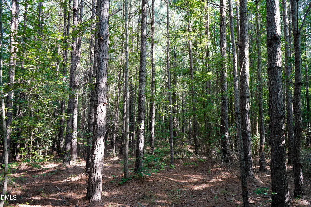 60 Acres Timberlake Road Louisburg, NC 27549