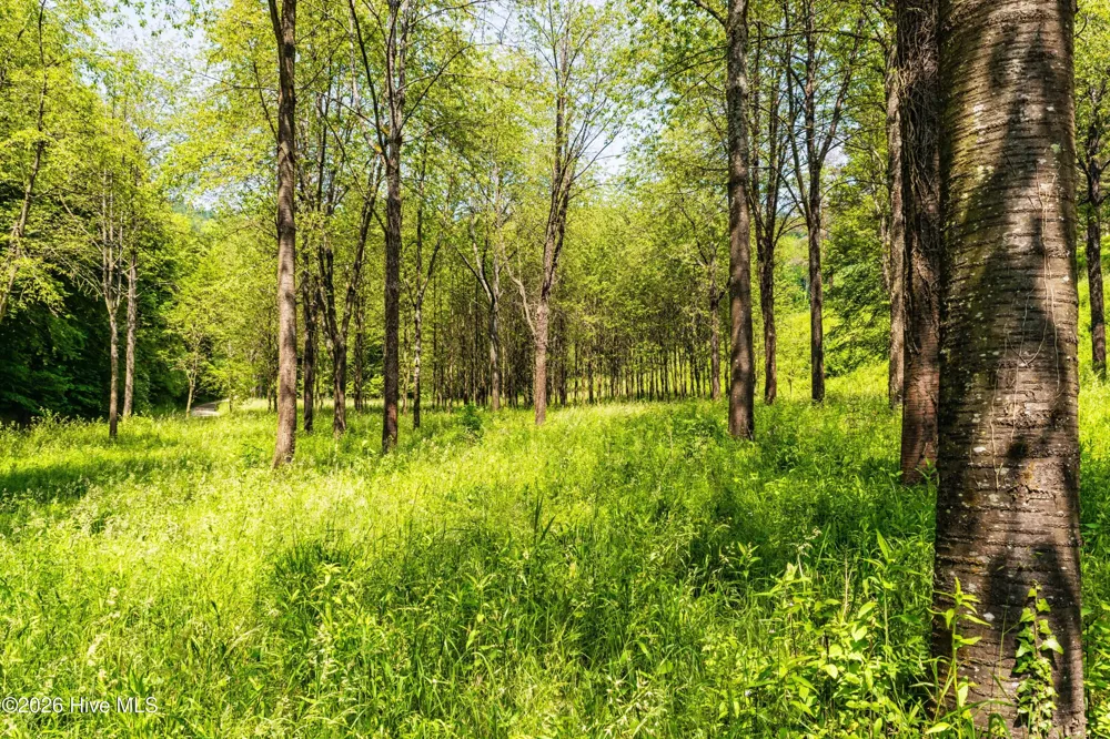 4197 Adams Chapel Road Dearing, GA 30808