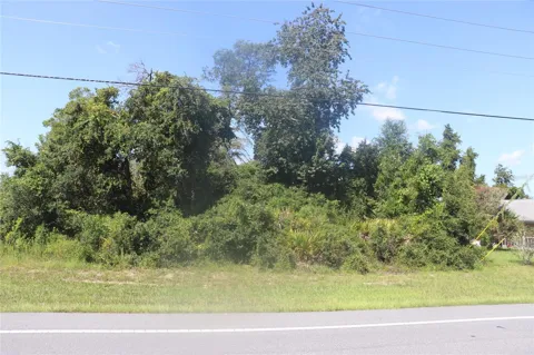 TBD SW MARION OAKS MANOR