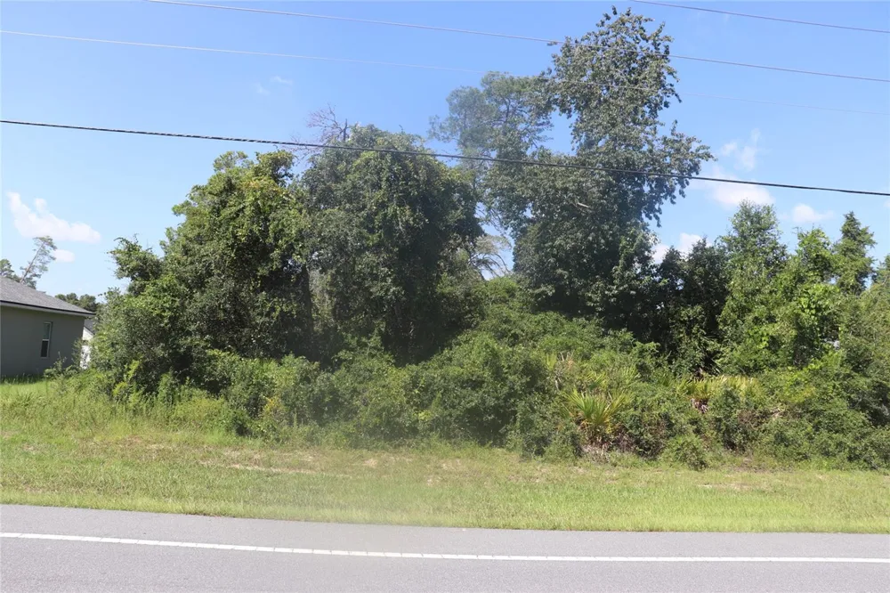 TBD SW MARION OAKS MANOR ocala, FL 34473