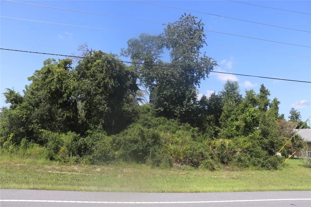 TBD SW MARION OAKS MANOR ocala, FL 34473