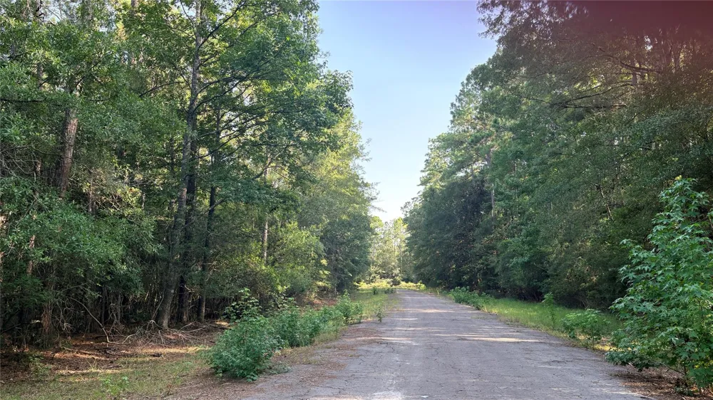19 Silver Birch Village Mills, TX 77663