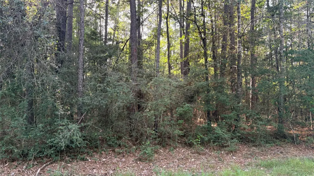 19 Silver Birch Village Mills, TX 77663
