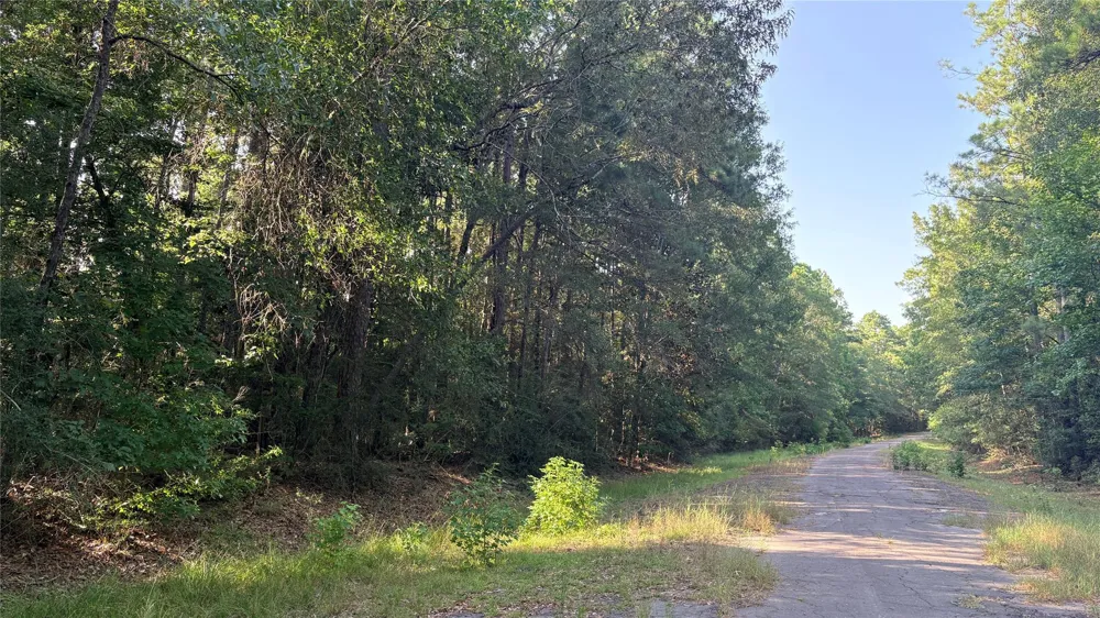 19 Silver Birch Village Mills, TX 77663