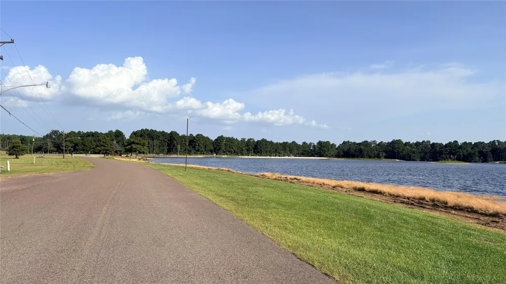 19 Silver Birch Village Mills, TX 77663