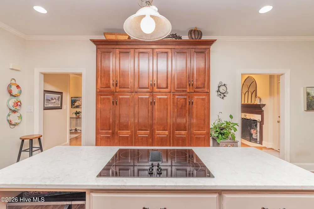 507 Pineview Court Martinez, GA 30907