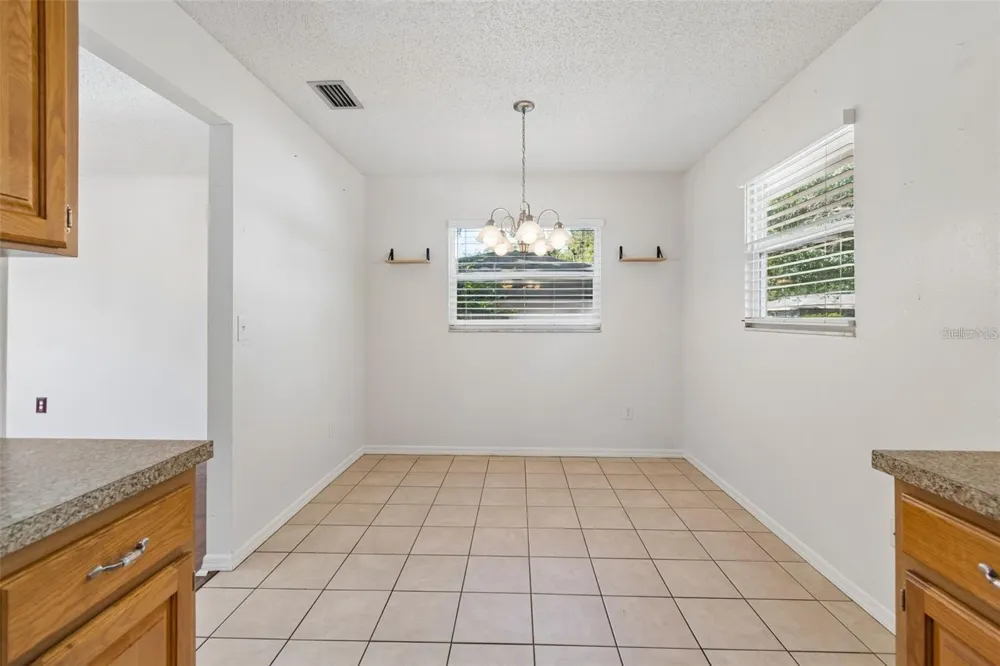 2620 GIANT PLACE Seffner, FL 33584