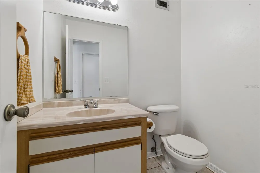 2620 GIANT PLACE Seffner, FL 33584