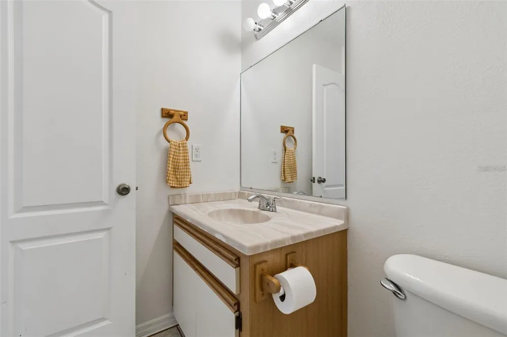 2620 GIANT PLACE Seffner, FL 33584