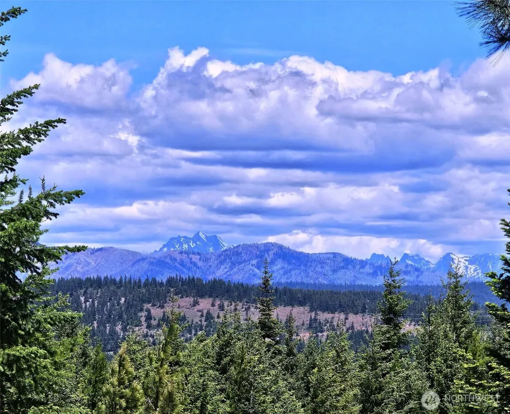2461 Big Horn Way Cle Elum, WA 98922