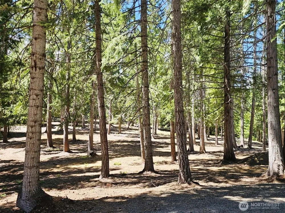 2461 Big Horn Way Cle Elum, WA 98922