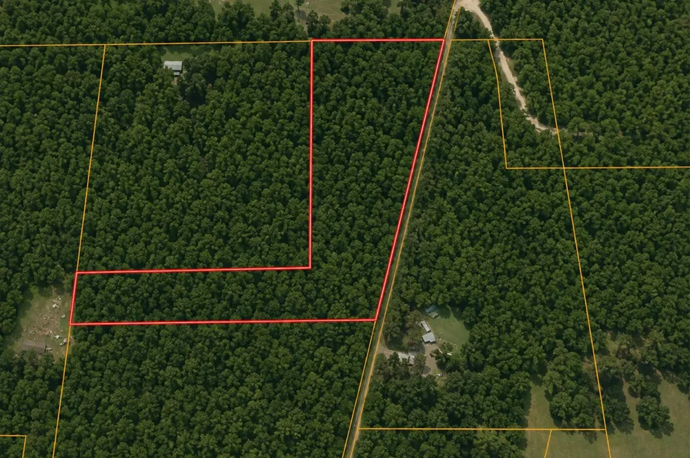 6350 Sapp Graveyard Road Kountze, TX 77625
