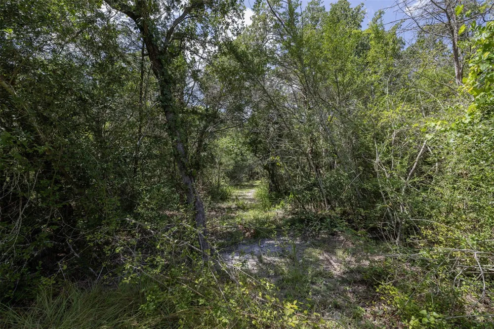 Wildlife Circle Carmine, TX 78932