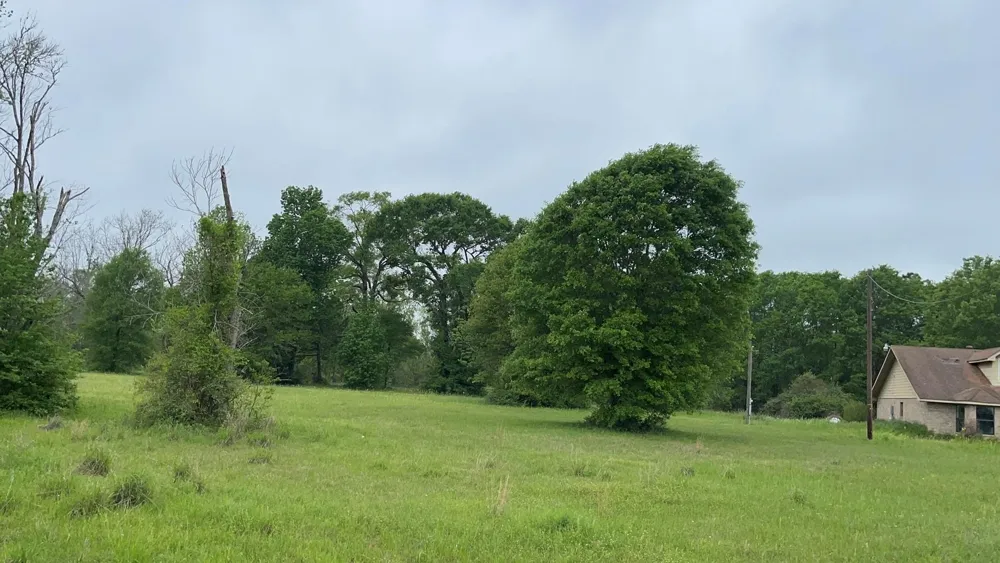 Fm 3342 Shepherd, TX 77371