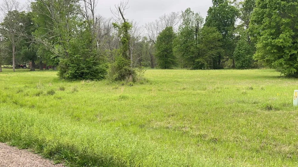 Fm 3342 Shepherd, TX 77371