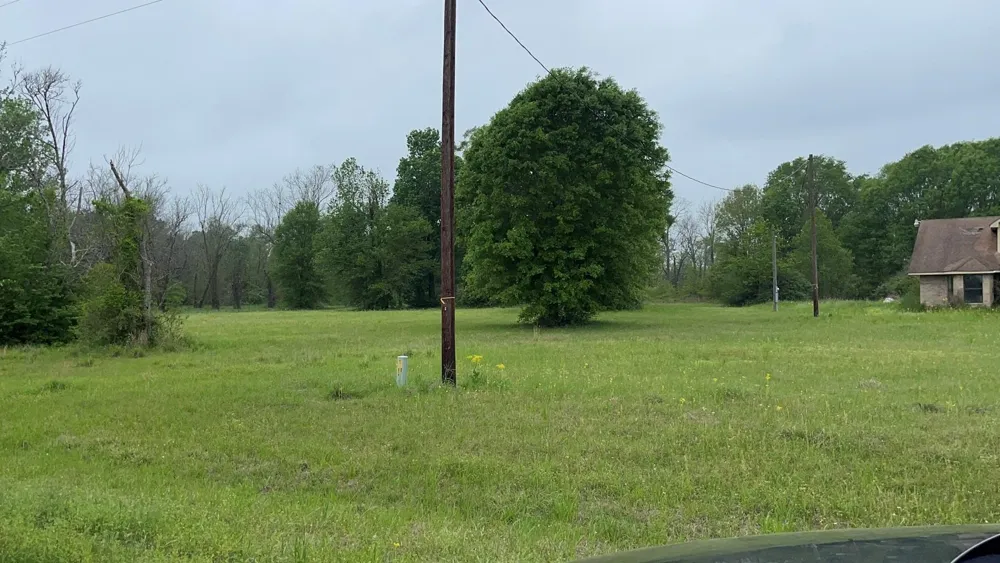 Fm 3342 Shepherd, TX 77371