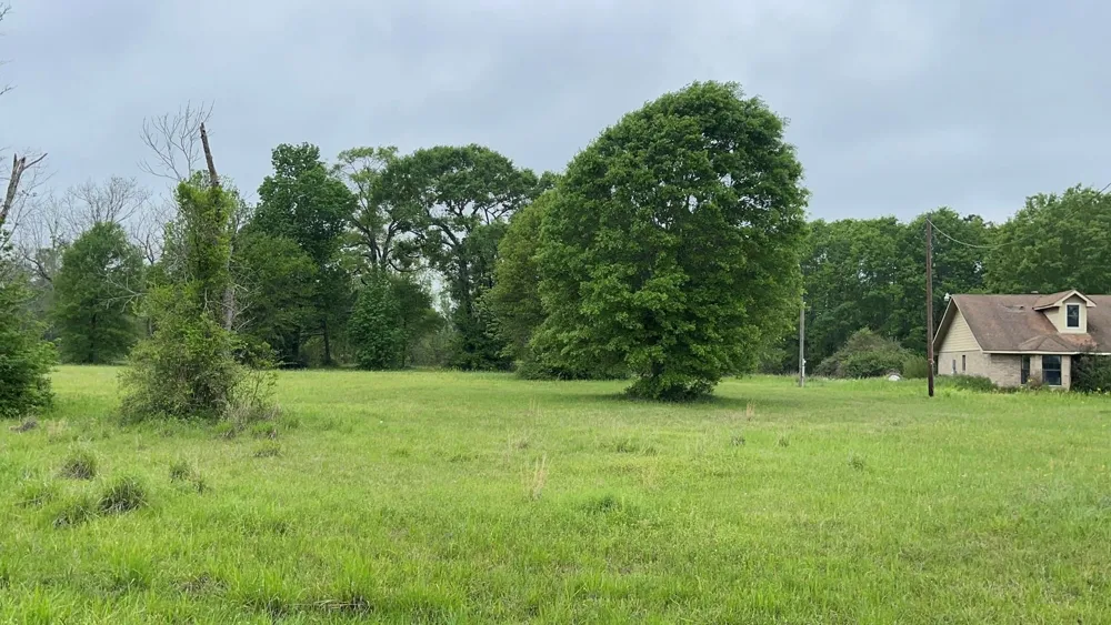 Fm 3342 Shepherd, TX 77371