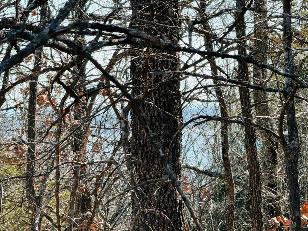 Mountain View Road Eufaula, OK 74432