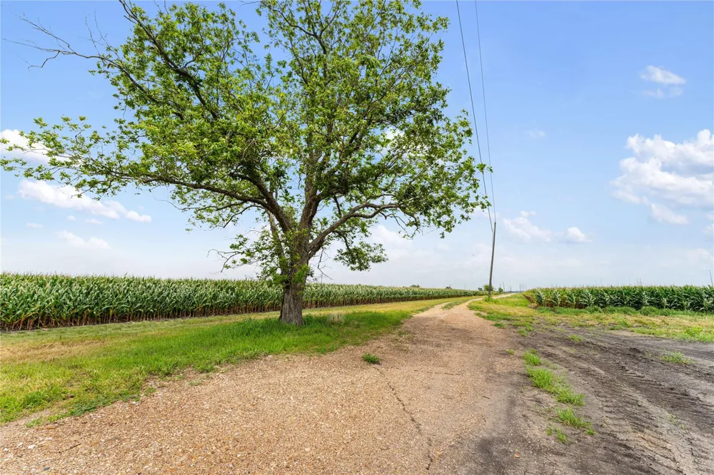 13416 Fm 361 Road Needville, TX 77461