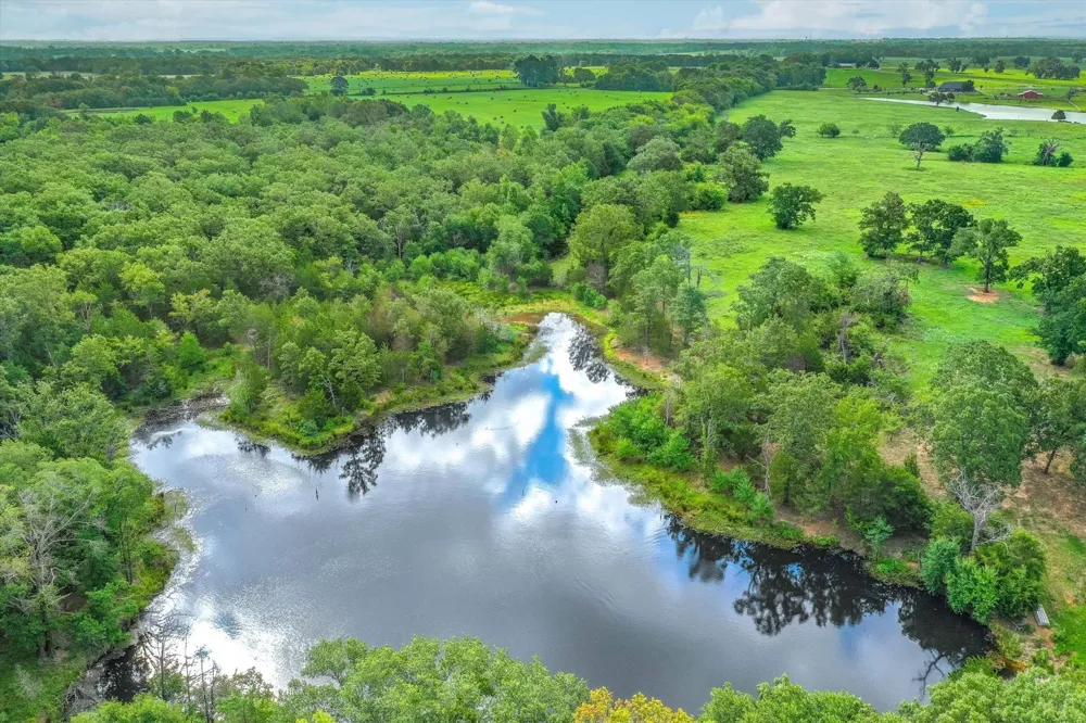 80 Private Road 531 Grand Saline, TX 75140