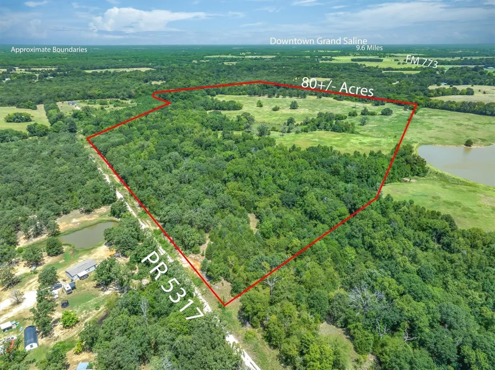 80 Private Road 531 Grand Saline, TX 75140