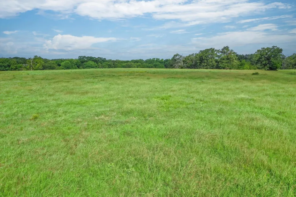80 Private Road 531 Grand Saline, TX 75140