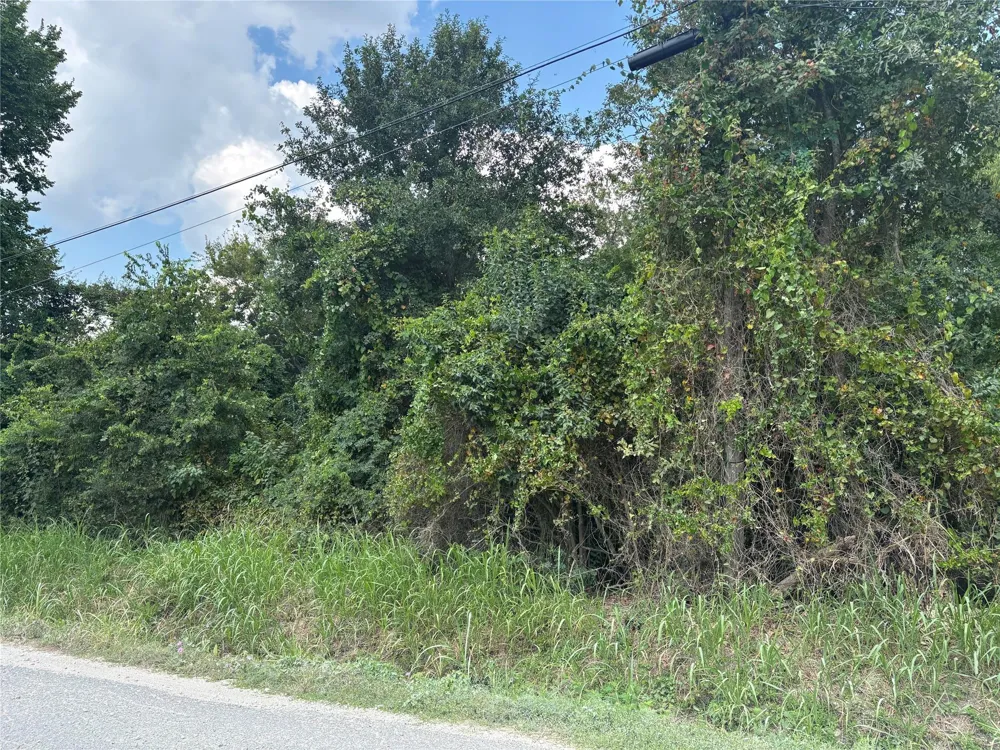 San Jacinto Avenue Iola, TX 77861