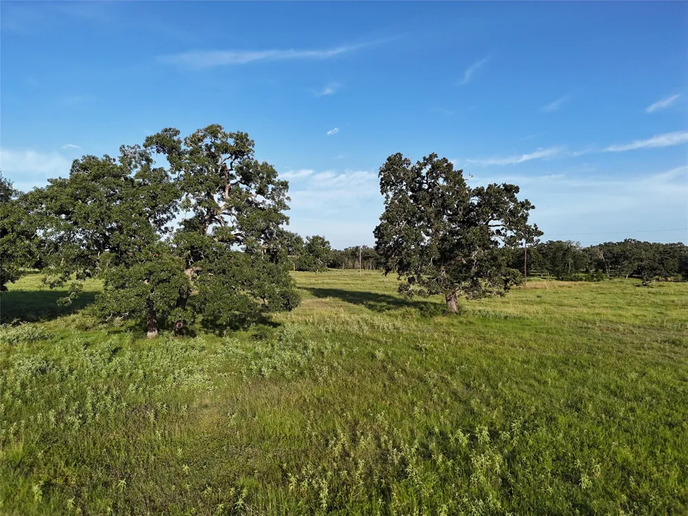 8600 Fm-1361 Somerville, TX 77879