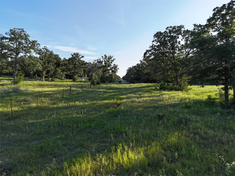8600 Fm-1361 Somerville, TX 77879