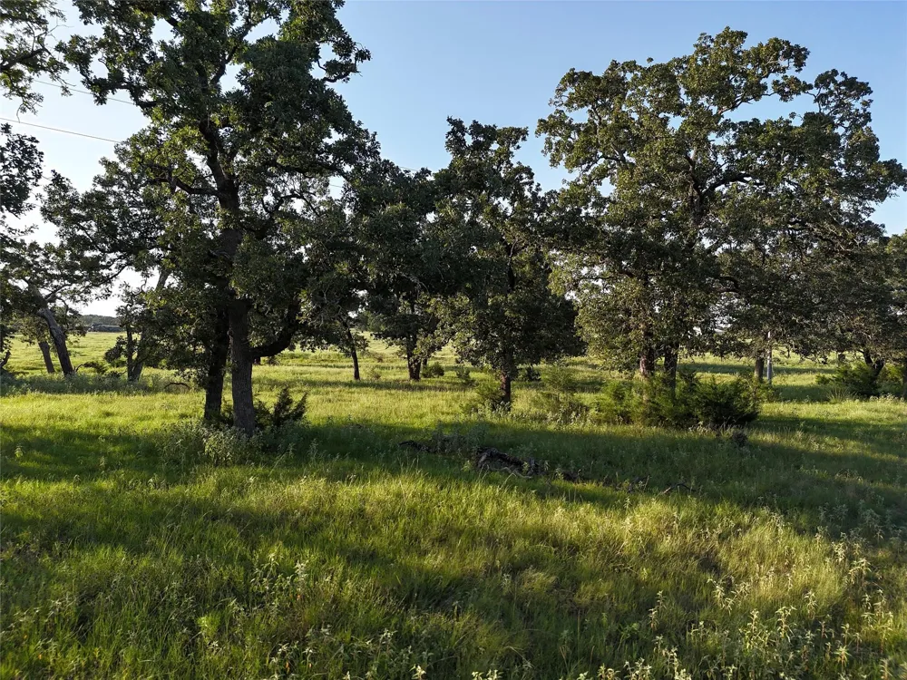 8600 Fm-1361 Somerville, TX 77879