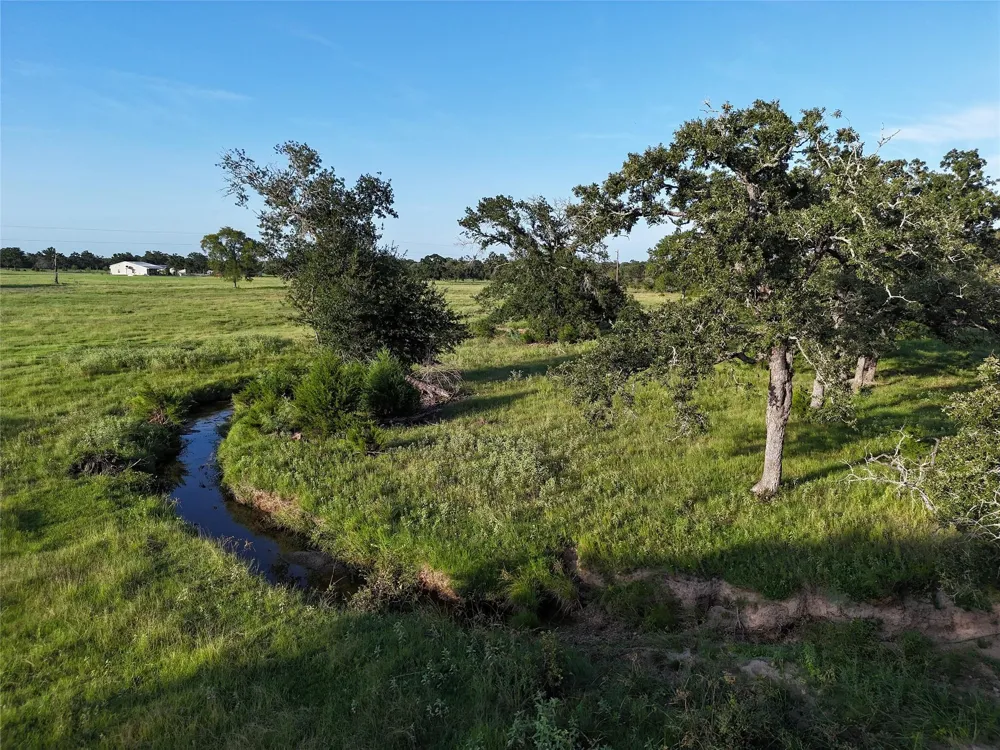 8600 Fm-1361 Somerville, TX 77879