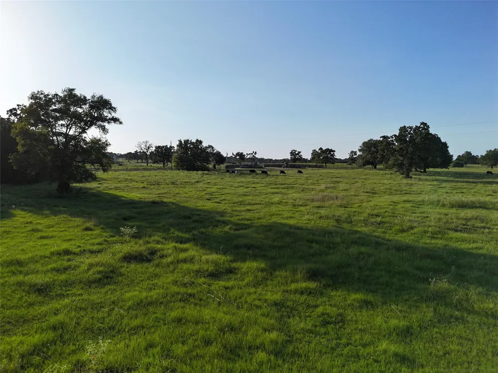 8600 Fm-1361 Somerville, TX 77879