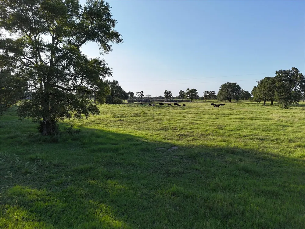 8600 Fm-1361 Somerville, TX 77879