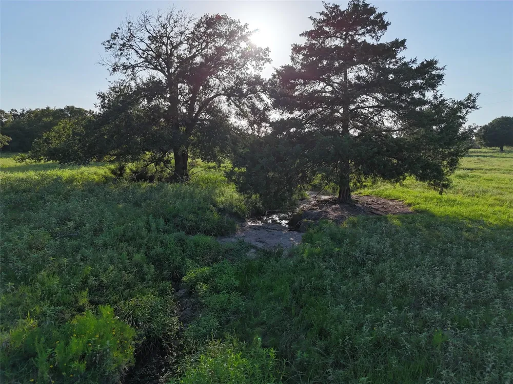 8600 Fm-1361 Somerville, TX 77879