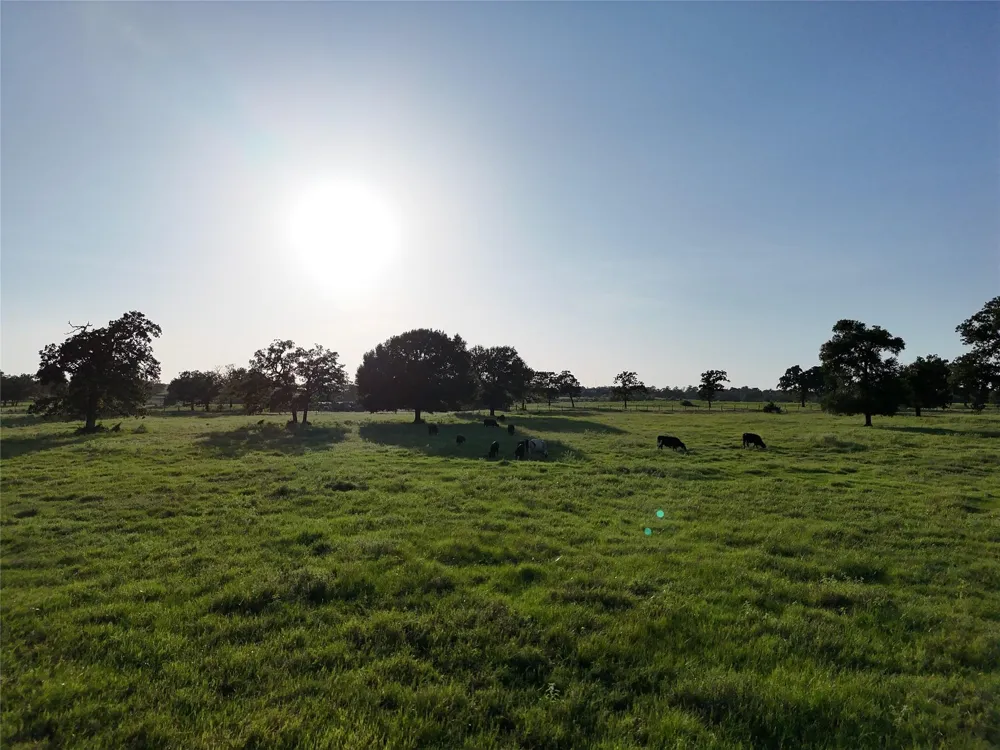 8600 Fm-1361 Somerville, TX 77879